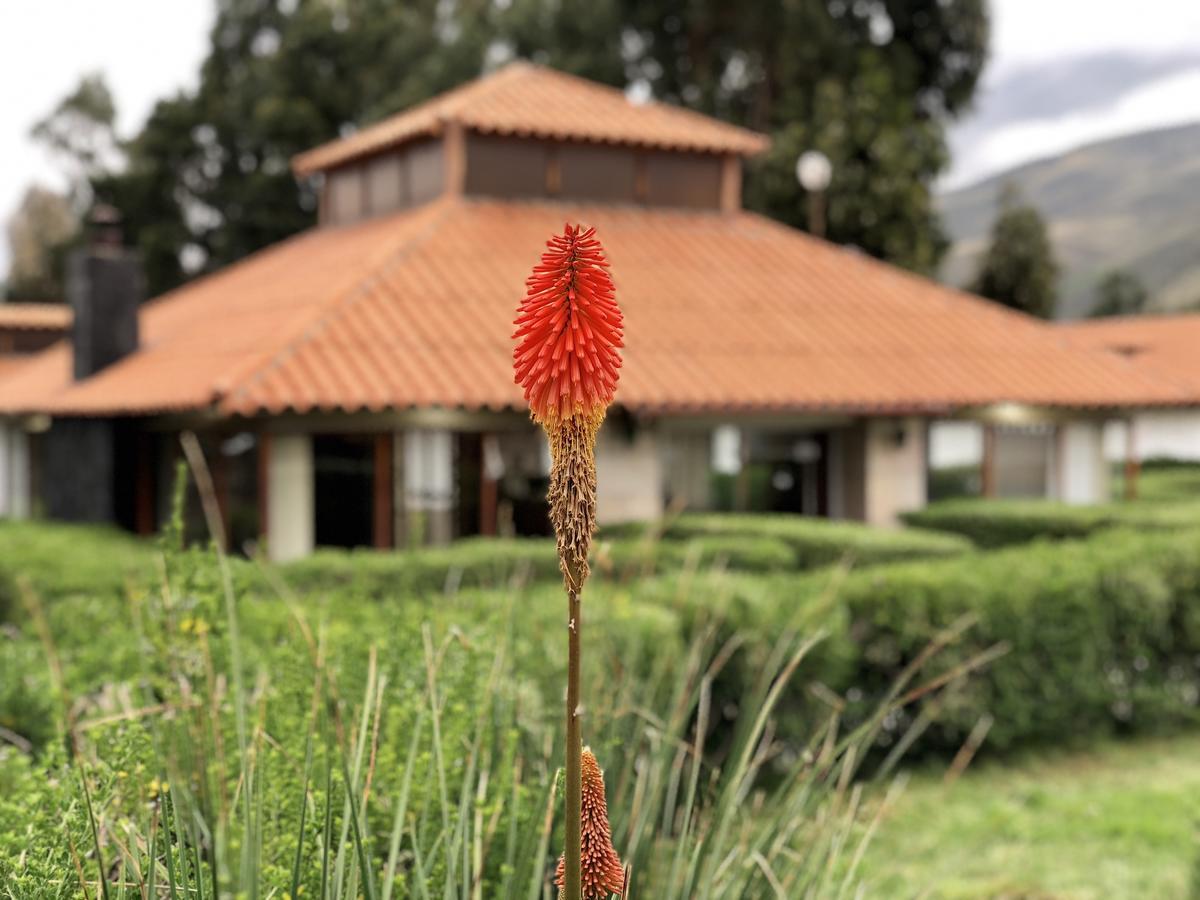 Casona Plaza Ecolodge Colca Yanque المظهر الخارجي الصورة