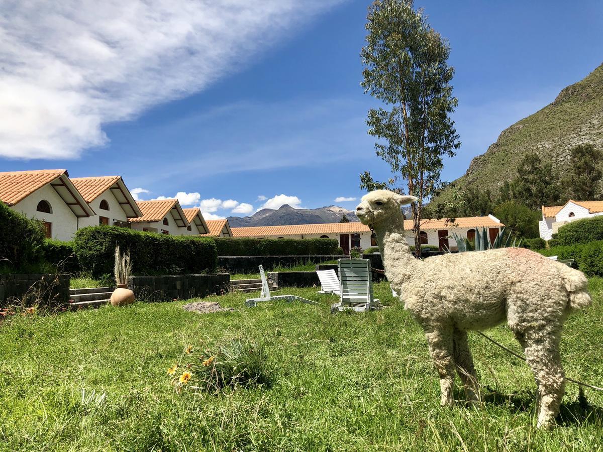 Casona Plaza Ecolodge Colca Yanque المظهر الخارجي الصورة